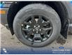 2026 Ford Bronco Sport Big Bend (Stk: 26AS0138) in Airdrie - Image 6 of 25 2026 Ford Bronco Sport Big Bend (Stk: 26AS0138) in Airdrie - Image 6 of 25