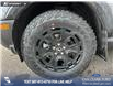 2025 Ford Bronco Sport Outer Banks (Stk: 25AS2245) in Airdrie - Image 6 of 24 2025 Ford Bronco Sport Outer Banks (Stk: 25AS2245) in Airdrie - Image 6 of 24