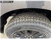2026 Ford F-150 XLT (Stk: 26T6004) in Red Deer - Image 7 of 24
