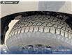 2026 Ford F-150 XLT (Stk: 26T1684) in Red Deer - Image 7 of 24