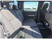 2026 Ford F-150 XLT (Stk: 26T4682) in Olds - Image 23 of 25 2026 Ford F-150 XLT (Stk: 26T4682) in Olds - Image 23 of 25