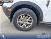 2026 Ford Bronco Sport Big Bend (Stk: 26S0505) in Red Deer - Image 6 of 25 2026 Ford Bronco Sport Big Bend (Stk: 26S0505) in Red Deer - Image 6 of 25