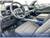 2026 Ford F-150 XLT (Stk: 26AT4789) in Airdrie - Image 13 of 25 2026 Ford F-150 XLT (Stk: 26AT4789) in Airdrie - Image 13 of 25
