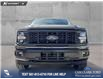 2026 Ford F-150 STX (Stk: 26T3374) in Olds - Image 2 of 25 2026 Ford F-150 STX (Stk: 26T3374) in Olds - Image 2 of 25
