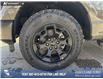 2026 Ford F-150 STX (Stk: 26T3374) in Olds - Image 6 of 25 2026 Ford F-150 STX (Stk: 26T3374) in Olds - Image 6 of 25