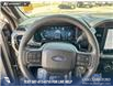 2026 Ford F-150 STX (Stk: 26T3374) in Olds - Image 14 of 25 2026 Ford F-150 STX (Stk: 26T3374) in Olds - Image 14 of 25