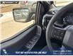 2026 Ford F-150 STX (Stk: 26T3374) in Olds - Image 17 of 25 2026 Ford F-150 STX (Stk: 26T3374) in Olds - Image 17 of 25