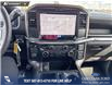2026 Ford F-150 STX (Stk: 26T3374) in Olds - Image 19 of 25 2026 Ford F-150 STX (Stk: 26T3374) in Olds - Image 19 of 25