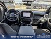 2026 Ford F-150 STX (Stk: 26T3374) in Olds - Image 24 of 25 2026 Ford F-150 STX (Stk: 26T3374) in Olds - Image 24 of 25