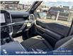 2026 Ford F-150 STX (Stk: 26T3374) in Olds - Image 25 of 25 2026 Ford F-150 STX (Stk: 26T3374) in Olds - Image 25 of 25