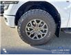 2026 Ford F-150 Tremor (Stk: 26T5703) in Red Deer - Image 6 of 24 2026 Ford F-150 Tremor (Stk: 26T5703) in Red Deer - Image 6 of 24