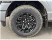 2026 Ford F-150 XLT (Stk: 26AT5019) in Airdrie - Image 6 of 25