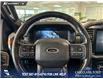 2023 Ford F-150 Tremor (Stk: P14625) in Airdrie - Image 13 of 24