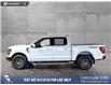2025 Ford F-150 Tremor (Stk: P14623) in Airdrie - Image 3 of 25 2025 Ford F-150 Tremor (Stk: P14623) in Airdrie - Image 3 of 25