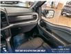 2025 Ford F-150 Tremor (Stk: P14623) in Airdrie - Image 25 of 25 2025 Ford F-150 Tremor (Stk: P14623) in Airdrie - Image 25 of 25