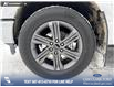 2023 Ford F-150 XLT (Stk: P6840) in Olds - Image 6 of 25