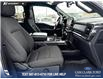 2023 Ford F-150 XLT (Stk: P6840) in Olds - Image 22 of 25