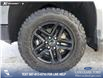 2023 Chevrolet Silverado 1500 LT Trail Boss (Stk: U37894) in Red Deer - Image 7 of 24