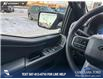 2025 Ford F-150 XLT (Stk: P6873) in Olds - Image 17 of 25