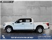 2023 Ford F-150 XLT (Stk: P14700) in Airdrie - Image 3 of 24