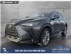 2023 Lexus NX 350 Base (Stk: P6895) in Olds - Image 1 of 25