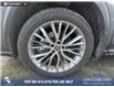 2023 Lexus NX 350 Base (Stk: P6895) in Olds - Image 6 of 25