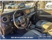 2024 Jeep Gladiator Mojave (Stk: P1589) in Canmore - Image 13 of 25