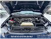 2023 Ford F-150 XL (Stk: P6862) in Olds - Image 10 of 23