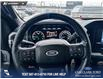 2023 Ford F-150 XL (Stk: P6862) in Olds - Image 13 of 23