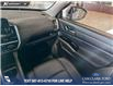 2023 Nissan Pathfinder Platinum (Stk: P14807) in Airdrie - Image 24 of 24