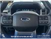 2022 Ford F-150 Lariat (Stk: P6928) in Olds - Image 13 of 22