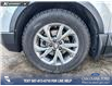 2018 Honda CR-V LX (Stk: P6887) in Olds - Image 6 of 25