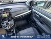 2018 Honda CR-V LX (Stk: P6887) in Olds - Image 25 of 25