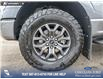 2023 Ford F-150 Tremor (Stk: U37930) in Red Deer - Image 6 of 25