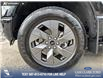 2025 Ford F-150 Lightning Flash (Stk: P1591) in Canmore - Image 6 of 27