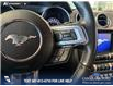 2020 Ford Mustang EcoBoost (Stk: P14825) in Airdrie - Image 16 of 25