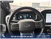 2021 Ford F-150 Lariat (Stk: P6926) in Olds - Image 13 of 23
