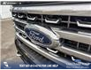 2023 Ford F-350 Platinum (Stk: P6918) in Olds - Image 9 of 25