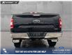 2020 Ford F-150 XLT (Stk: P6815) in Olds - Image 5 of 25