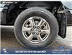 2020 Ford F-150 XLT (Stk: P6815) in Olds - Image 6 of 25