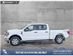 2023 Ford F-150 XLT (Stk: P6967) in Olds - Image 3 of 24
