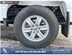 2023 Ford F-150 XLT (Stk: P6967) in Olds - Image 6 of 24