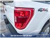 2023 Ford F-150 XLT (Stk: P6967) in Olds - Image 10 of 24
