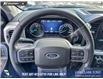 2023 Ford F-150 XLT (Stk: P1597) in Canmore - Image 14 of 25