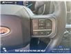 2023 Ford F-150 XLT (Stk: P1597) in Canmore - Image 16 of 25