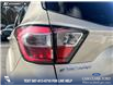 2017 Ford Escape Titanium (Stk: P1598) in Canmore - Image 11 of 27