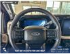 2024 Ford F-250 XLT (Stk: P14753) in Airdrie - Image 13 of 23