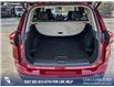 2025 Nissan Rogue SV Moonroof (Stk: P1601) in Canmore - Image 12 of 26
