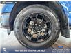 2024 Ford F-150 STX (Stk: RC20056) in Airdrie - Image 6 of 25