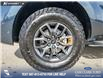 2025 Ford Expedition Tremor (Stk: U38030) in Red Deer - Image 6 of 25